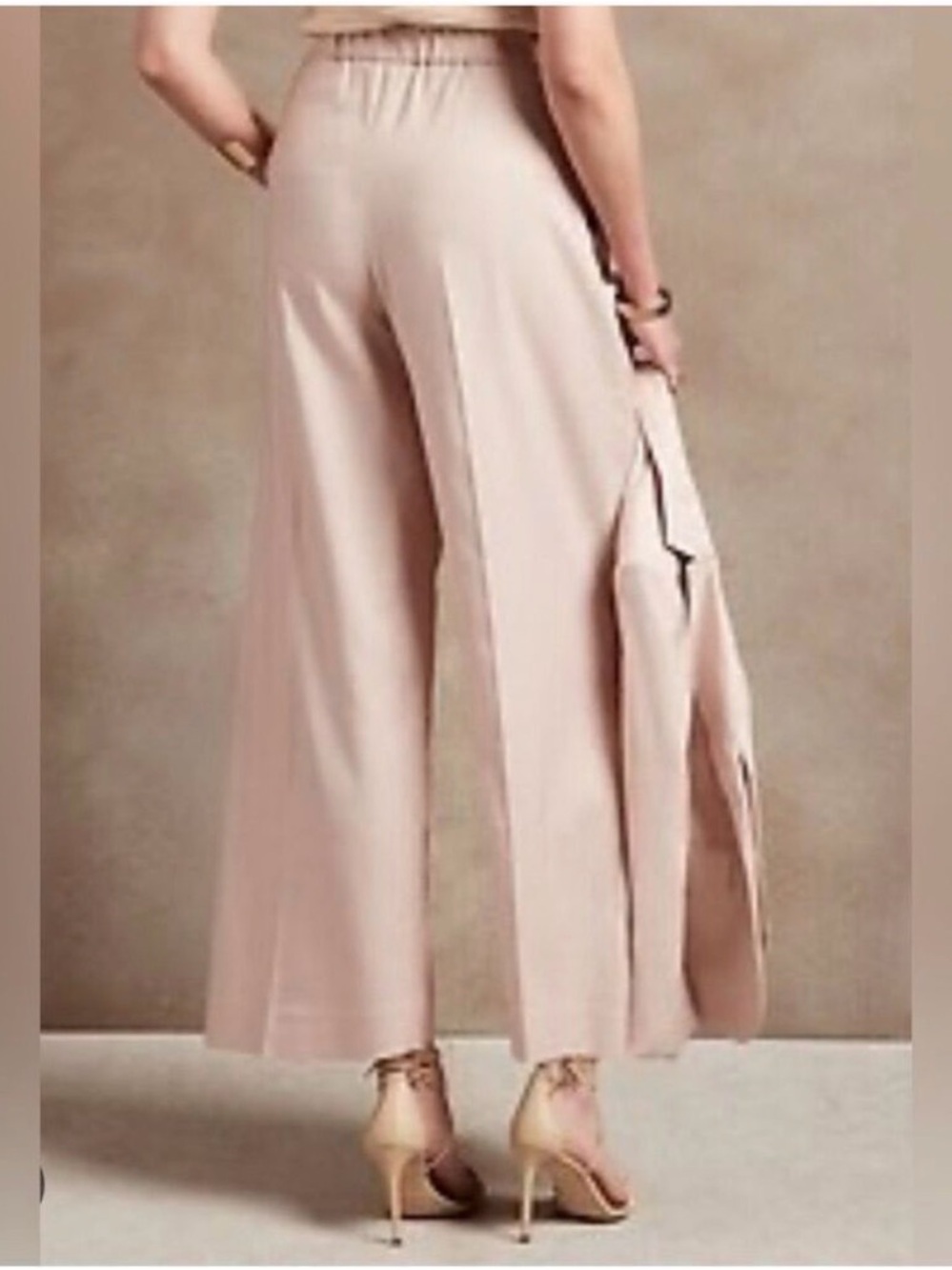 Banana Republic High Rise Pleated Wide Leg Trousers Pink Classpin. NWT 8 (31X31) - Picture 2 of 14